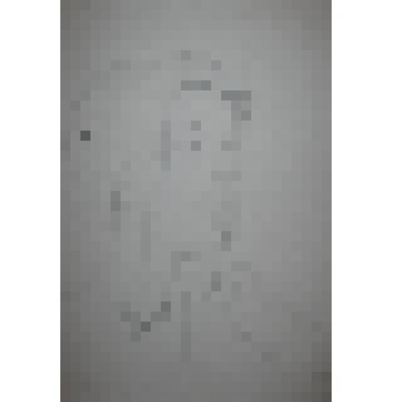 «Портрет девушки»