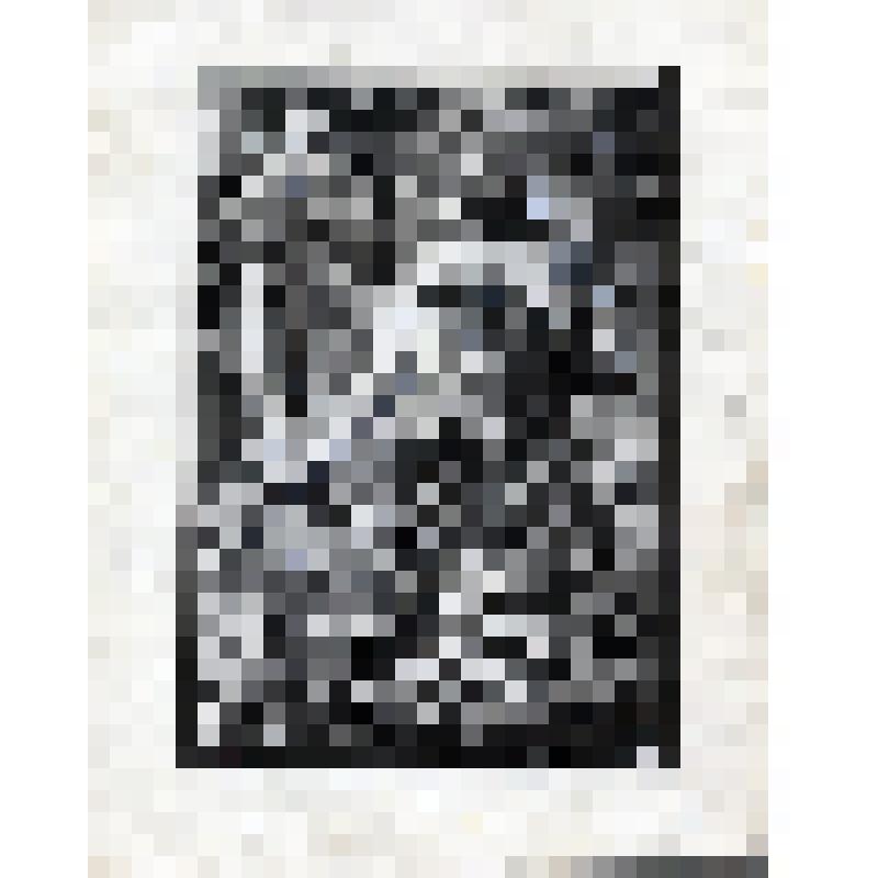 Гравюра: Бой Мцыри с барсом