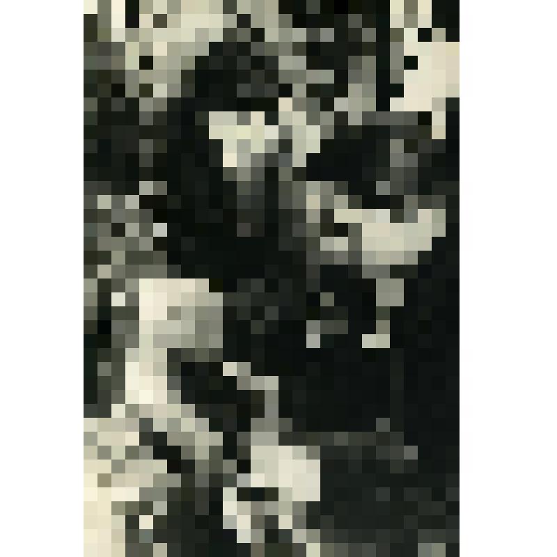 Фотография. Монтаж нового кислородного агрегата на Воронежском заводе ВАТ