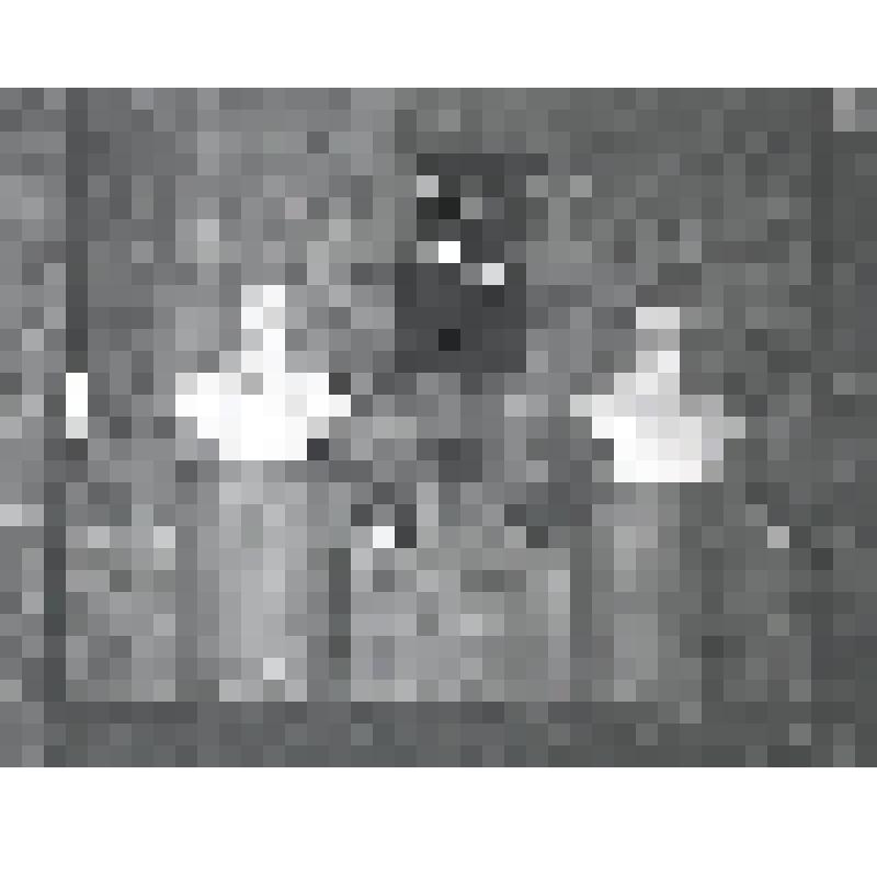 негатив. Экспозиция Калининградского областного краеведческого музея "В фойе музея."