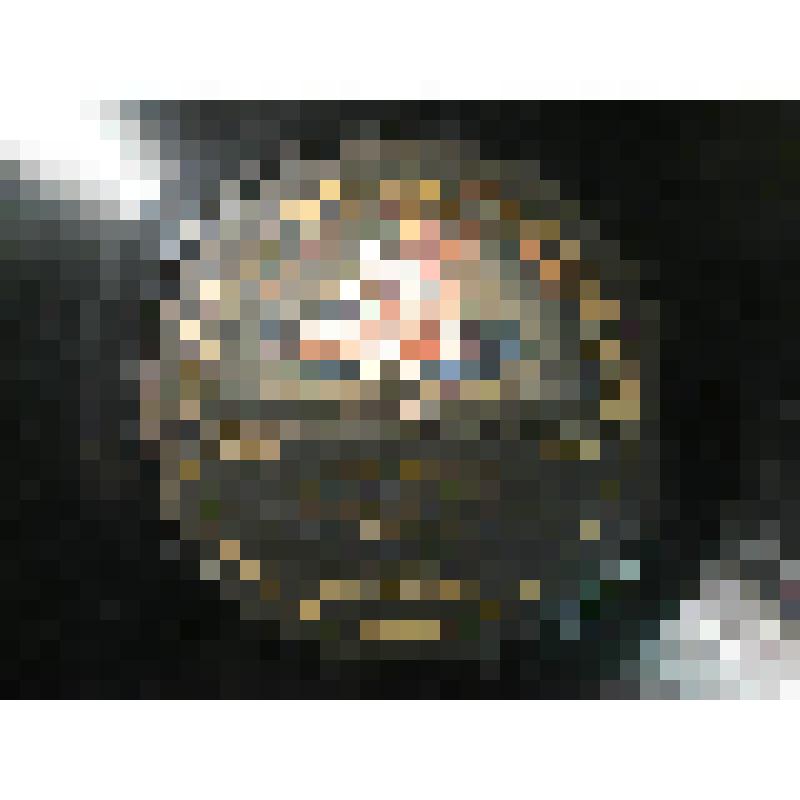 Грампластинка. 1. Каватина Гориславы. Опера  "Руслан и Людмила"  Глинки М. Исполнет Южина Н. С.  2. Песня Баяна. Опера   "Руслан и Людмила"  Глинки М. Исполнет Карензин А. М