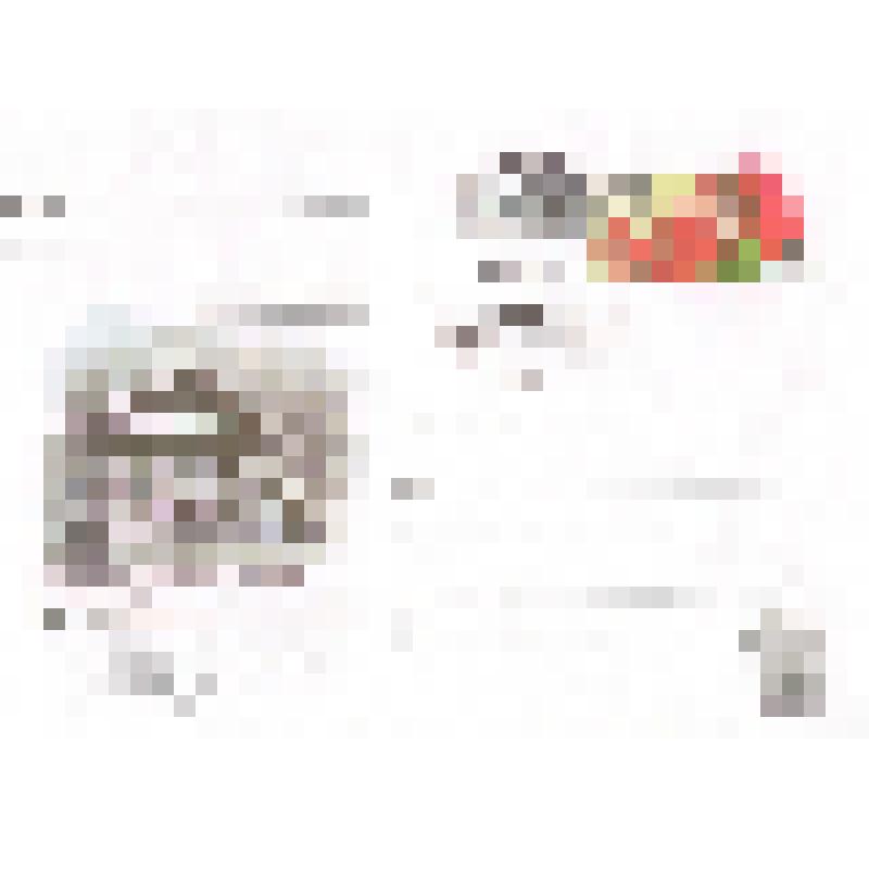 Конверт почтовый. Чапаев Василий Иванович 1887-1919., со спецгашением