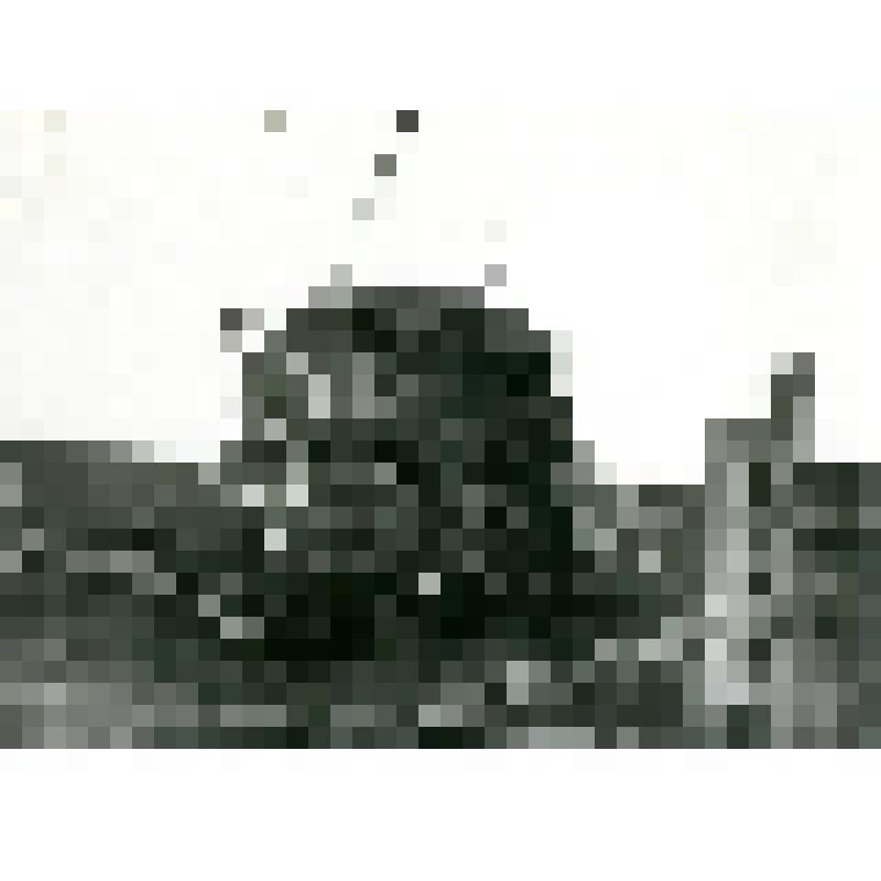 Фотография. Хранение урожая в стогах с. Чурапча Ботурусского улуса Якутского округа