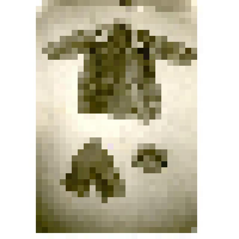 Фотография. Одежда тунгусов: тужурка, шапка