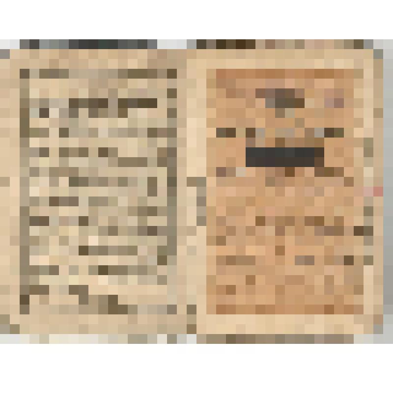 Паспортная книжка № 652 Карасева Николая Дмитриевича, выдана Красно-Полянским Волостным Старшиною Тетюшского уезда Казанской губернии 20 июня 1909 г