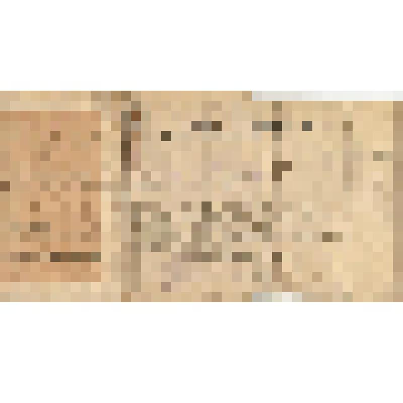 Паспортная книжка № 652 Карасева Николая Дмитриевича, выдана Красно-Полянским Волостным Старшиною Тетюшского уезда Казанской губернии 20 июня 1909 г