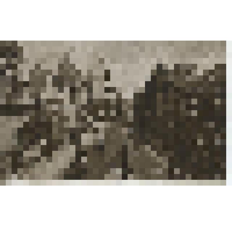 Открытка.Лондон. Улица Лоу-Корту