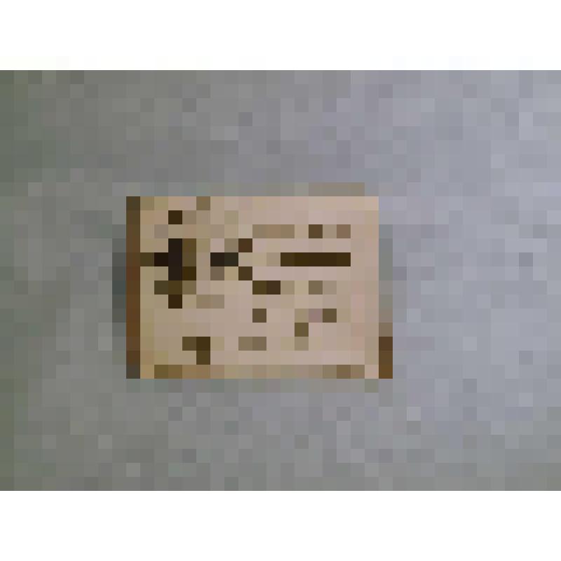 Пропуск служебный в Калининский городской сад на 2 лица. Калинин