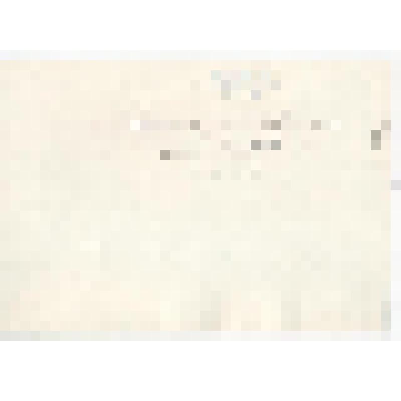 Фотография. Генерал Владимиров  на Киришском НПЗ