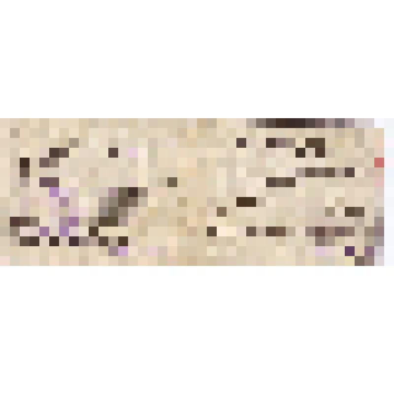 Мандат № 120 делегата 14-ой Ойротской областной конференции ВКПП(б) с правом решающего голоса