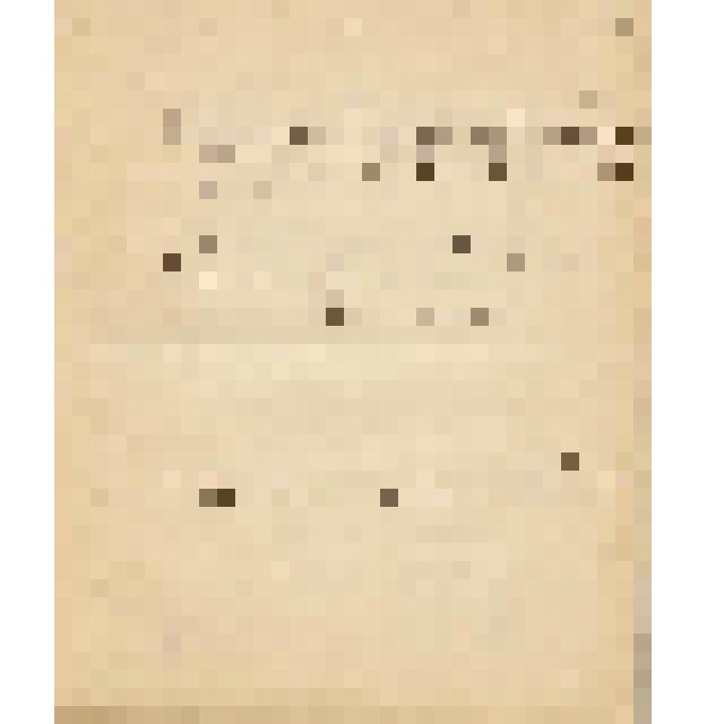 Документ [Управление Гофмаршальской части Министерства Императорского двора. 
Предписание об участии Придворной певческой Капеллы в церемониях Двора] от [15].06.1902 №53