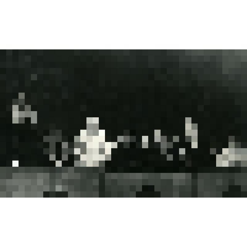 Президиум собрания, посвященного открытию фестиваля советской музыки "Ташкентская весна"