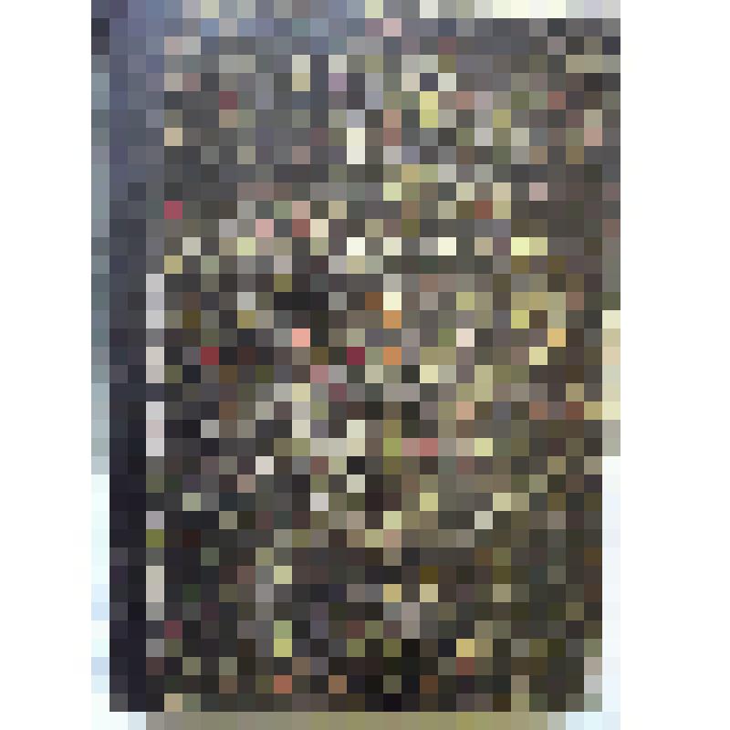 Петрученко О. Латинcко-русский словарь. - 9-е изд., испр. - М.: Издание Товарищества "В.В.Думновъ, Наследники Бр.Салаевыхъ", 1914. - [2], 810 с