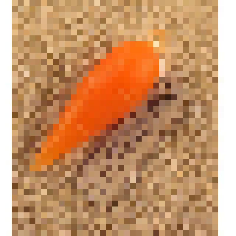 Игрушка елочная «Морковь» для искусственной мини-елки, из коллекции игрушек для искусственной мини-елки из наборов елочных украшений "Малютка"