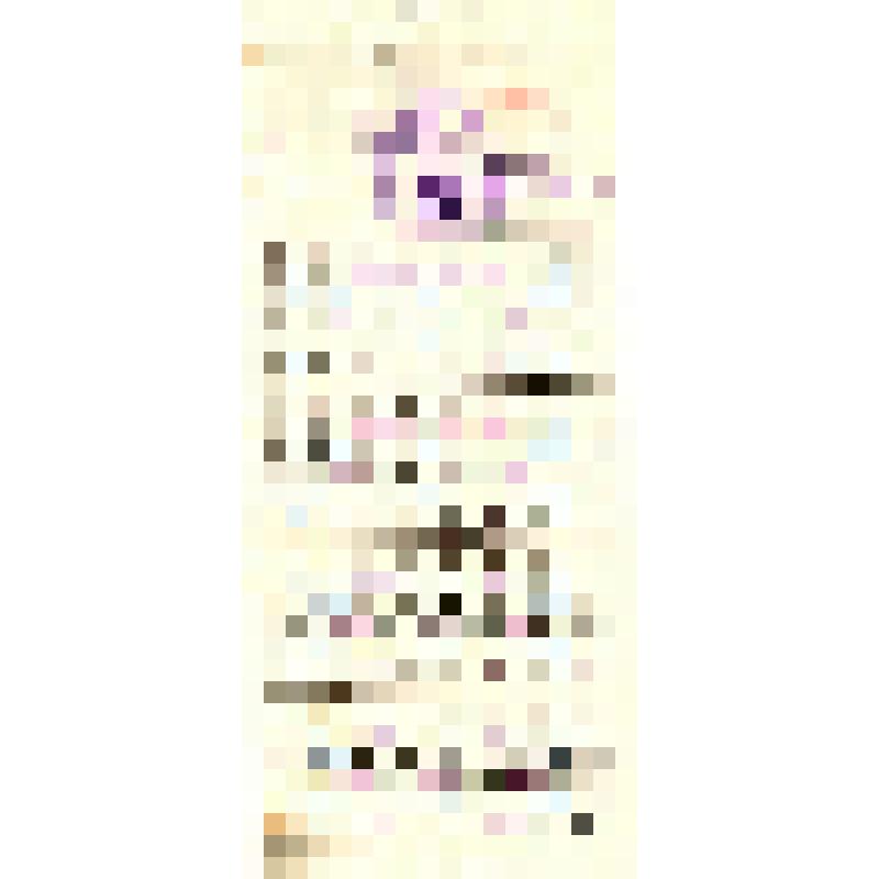 Лист талонов Шаповалова Николая Ивановича на бесплатный проезд на железнодорожном транспорте 2001-2004 гг. серия ИБ № 1909132