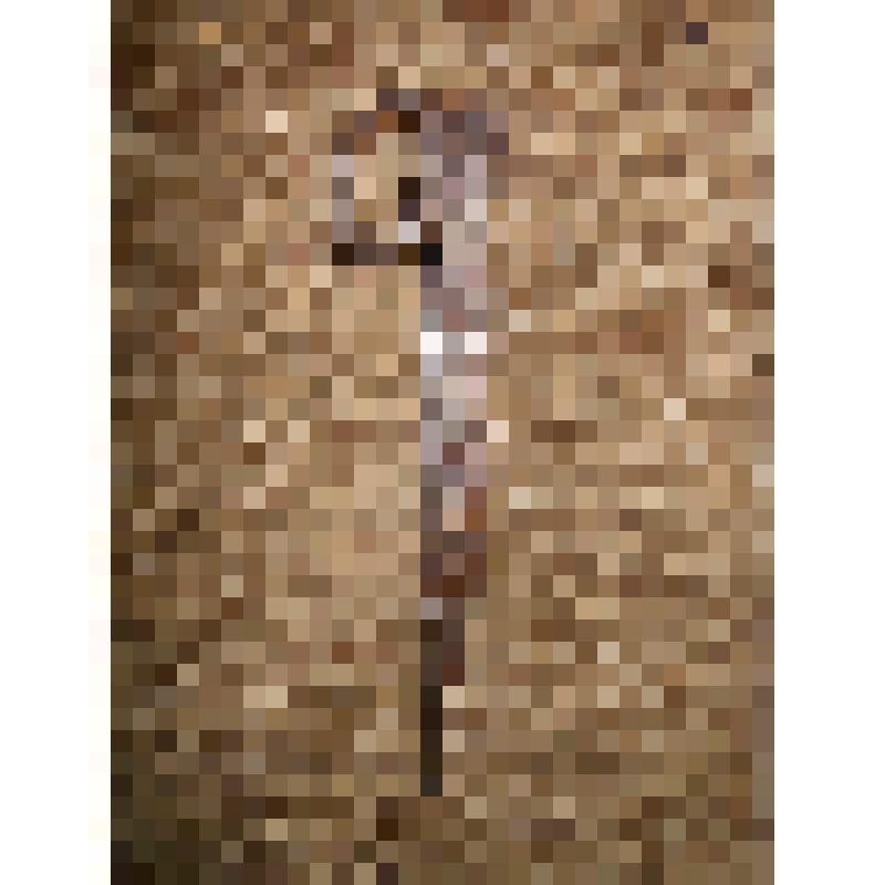 Фрагмент керна