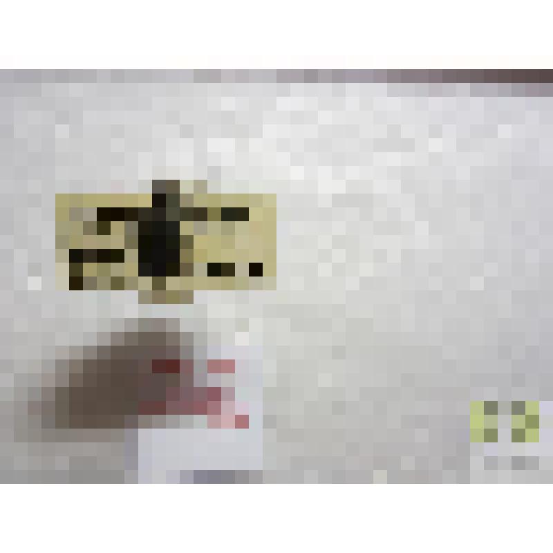 Тинник медный (Elaphrus cupreus Duft.)