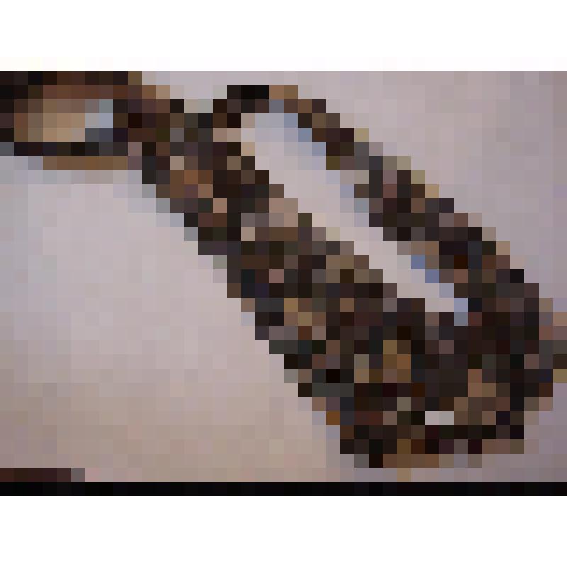 Галстук с портретами Л.Н. Толстого