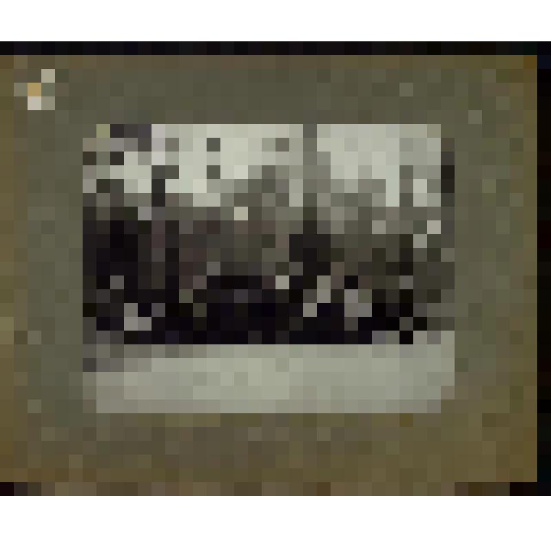 Фотография Бахрушин А.А., Аксагарский Н.В. в группе артистов Введенского Народного дома в Сокольниках во дворе Летнего театра