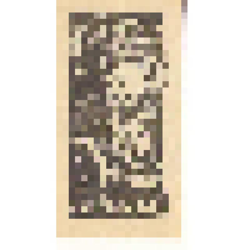 экслибрис. Экслибрис Г.Н. Петникова. Коллекция экслибрисов из архива Г.Н. Петникова