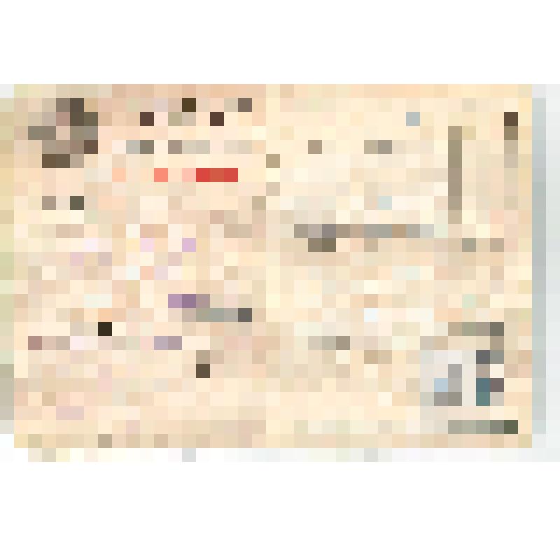 Билет профсоюзный