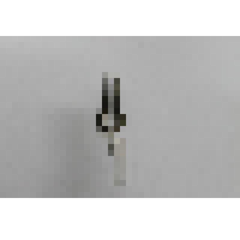 Варган европейский старинный