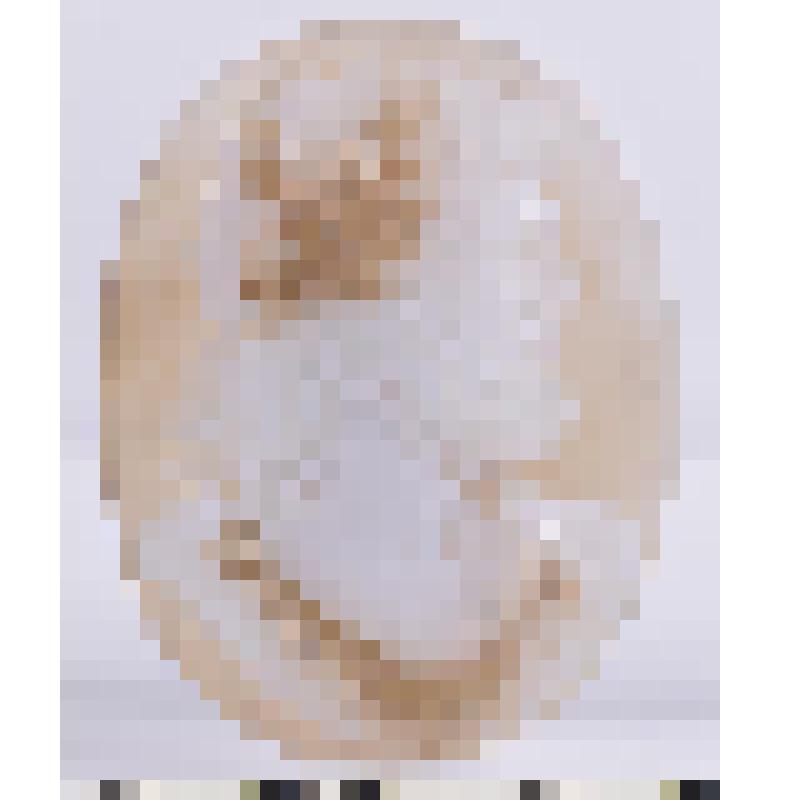 Камея. Зевс