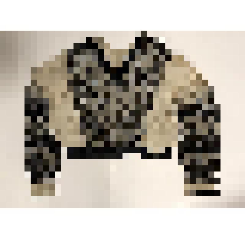 Деталь женского костюма. Лиф