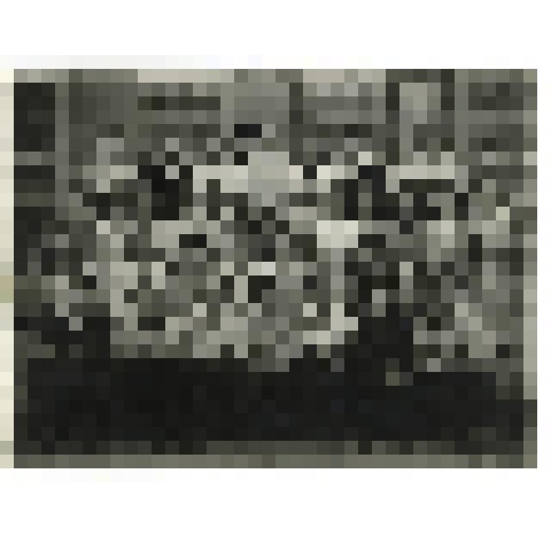 Фото ч/б. 10-а и 10-б классы Жаворонковской школы. 1954 г