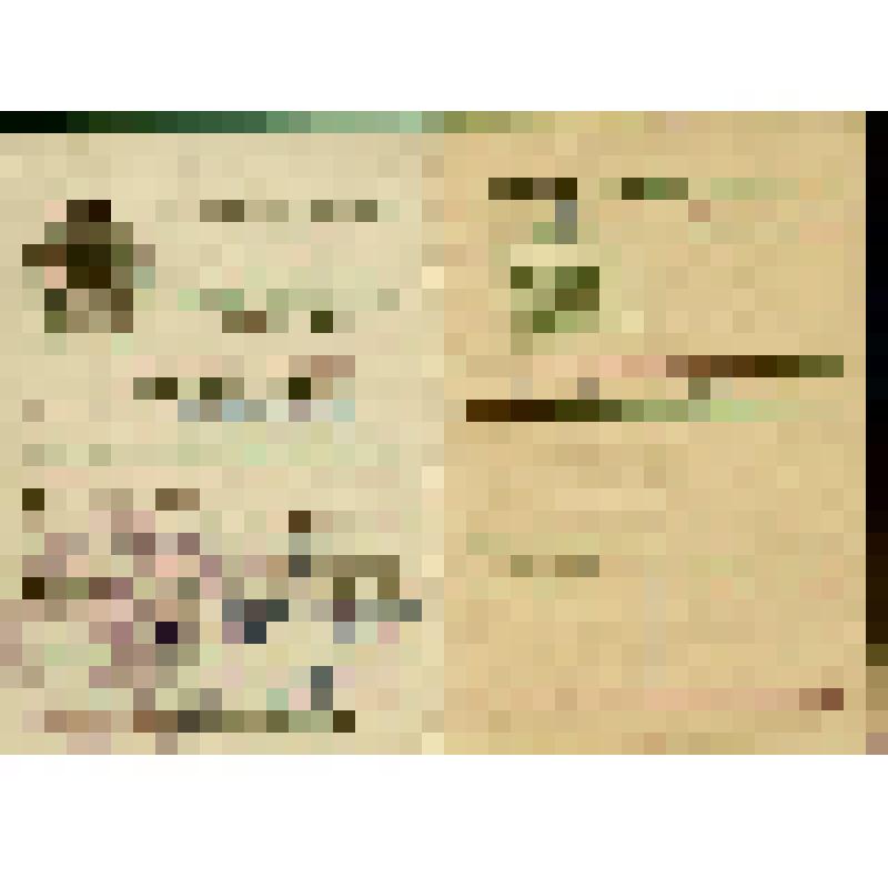 Документ. Билет членский ДОСААФ СССР Хохриной Изабеллы Трифоновны