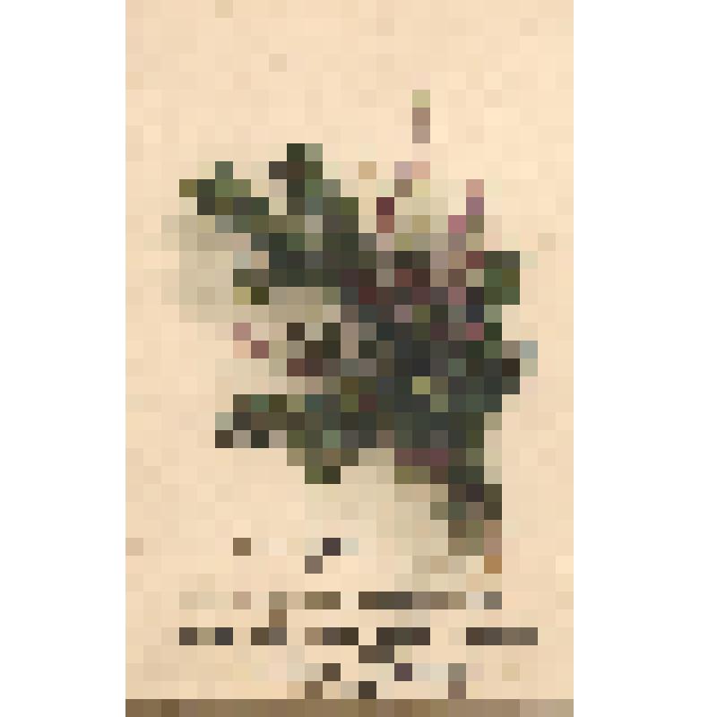 Открытка поздравительная новогодняя