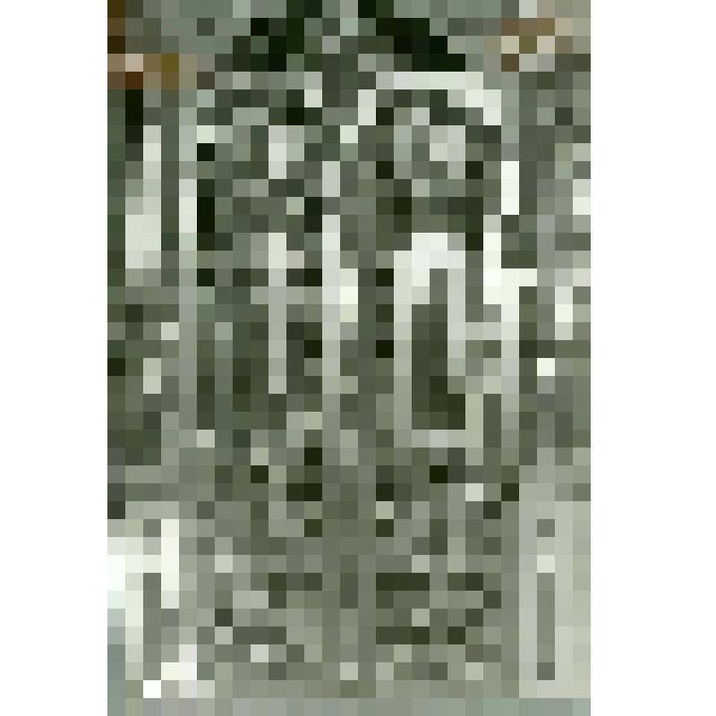 Царские врата (створа левая)