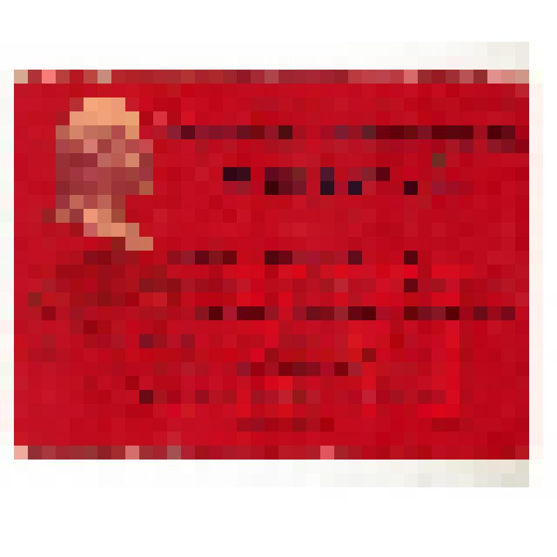 Мандат № 324 делегата 16-ой конференции Рязанской областной партийной организации