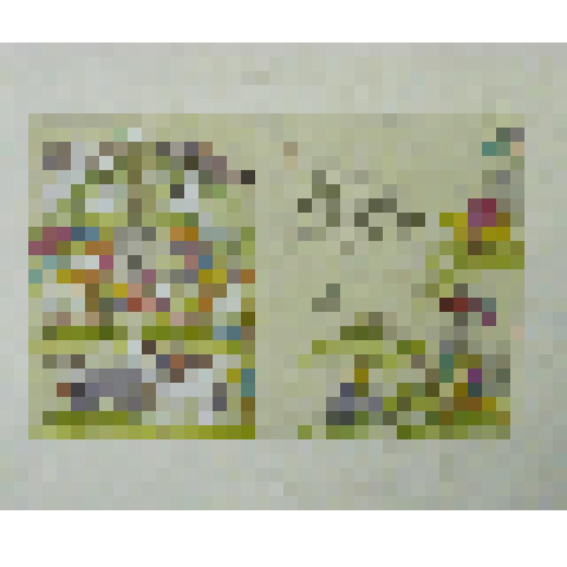 иллюстрация. Разворот книги «Слово о полку Игореве»  "Дремлет в поле Олегово храброе гнездо"