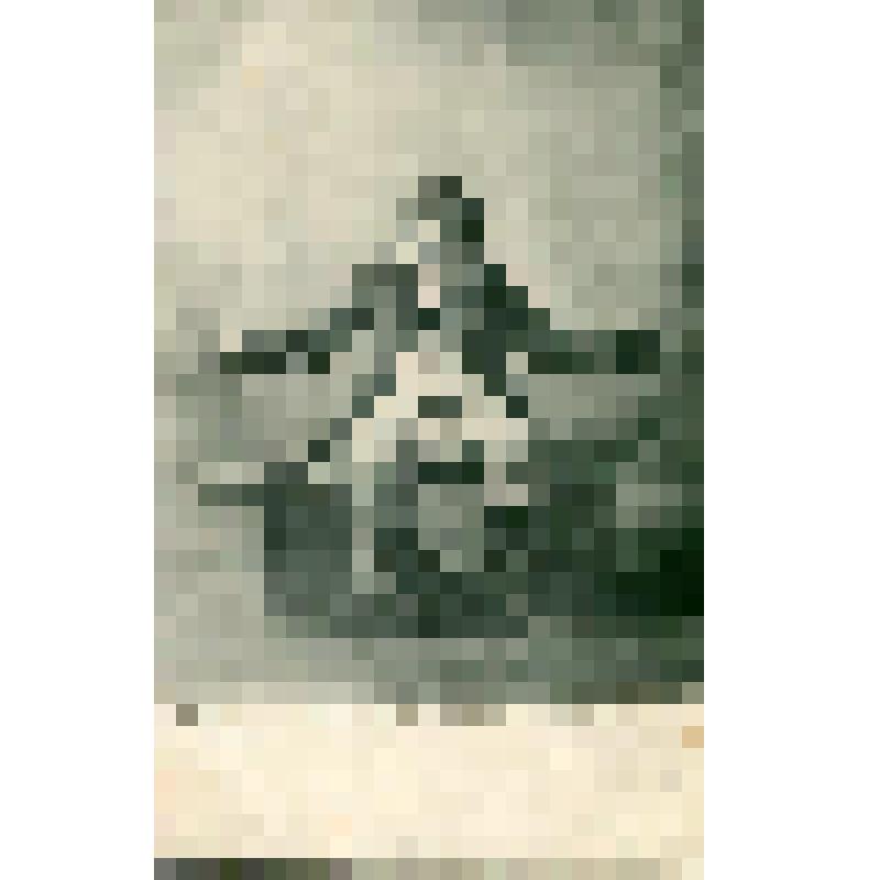 Фотооткрытка. Шаляпин Ф.И. в роли Мельника. "Русалка". Санкт-Петербург, Императорский Мариинский театр