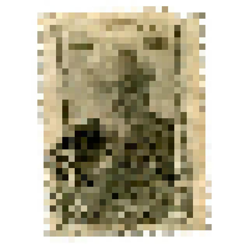 Почтовая марка 30 к. К 75-летию со дня рождения С.А. Чаплыгина. С.А. Чаплыгин