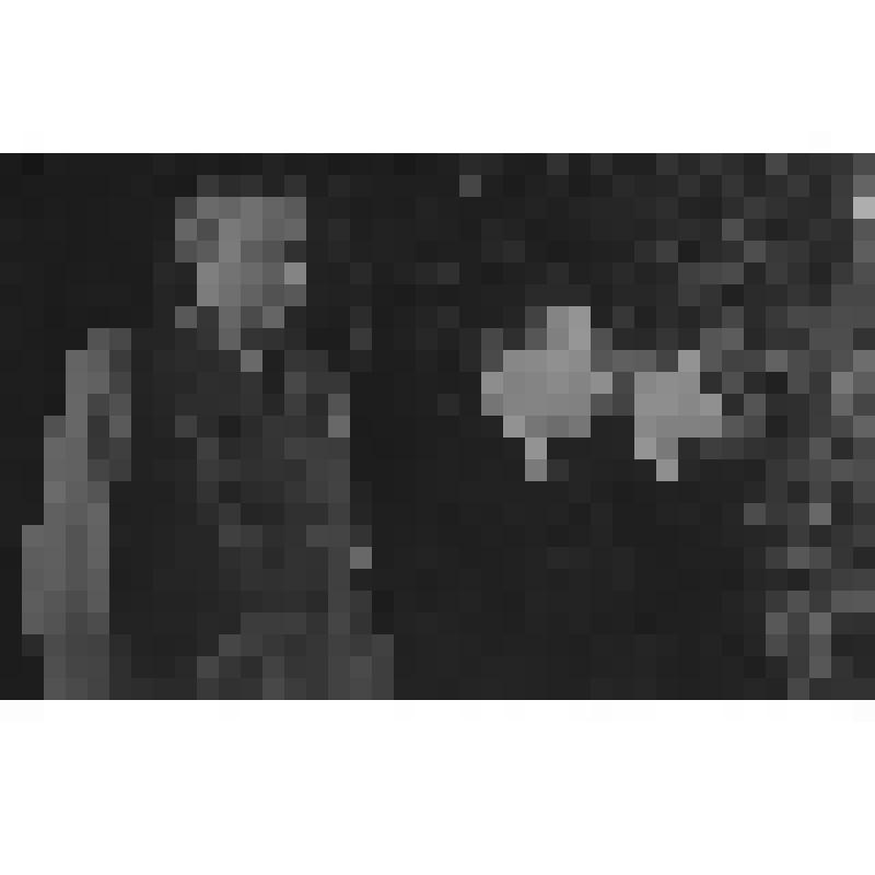 Церемония прощания с Иосифом Сталиным в Колонном зале Дома Союзов. Почетный караул у гроба. Маршал Советского Союза Константин (Ксаверьевич) Константинович Рокоссовский. Негатив