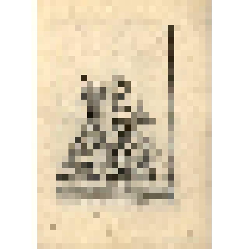 Cephale et l'Aurore. (Скульптурная группа "Кефал и Аврора" (№ 73) - лист из альбома: «Recueil des statues, groupes, fontaines, termes, vases, et autres magnifiques ornaments du Chateau & Parc de Versailles.» T. I-IV. (Собрание фигур, групп, терм, фонтанов