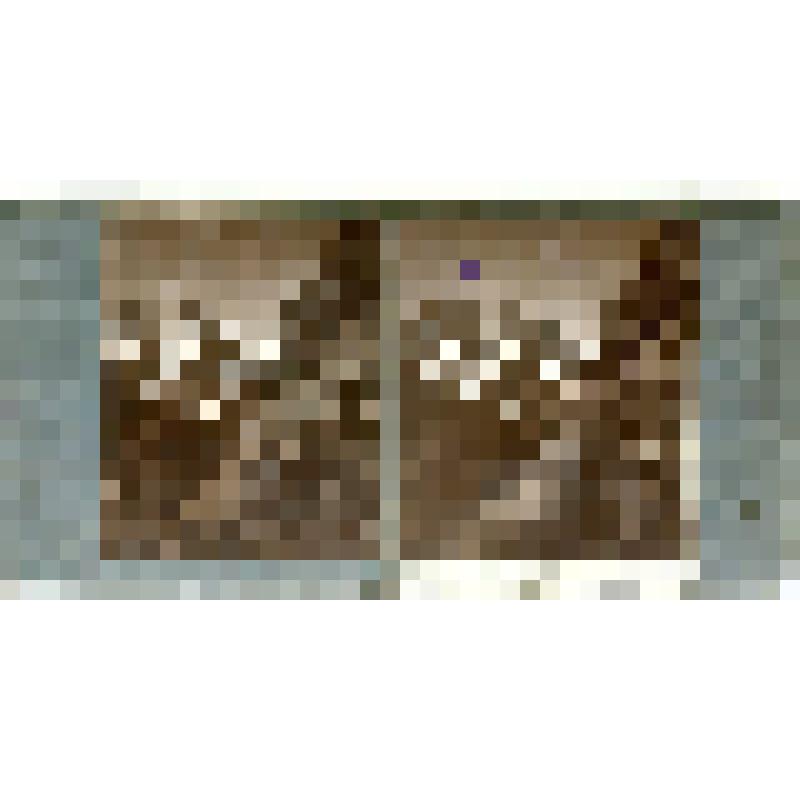 Карточка для стереоскопа «Пешеходная (военно-Сухумская) дорога к Клухорскому перевалу, прямо гора Буульген 12846 ф. н. у. м.». Из коллекции «Кавказ» с видами природы Западного Кавказа, серии 2-№46. Автор фото Н.Л. Минервин