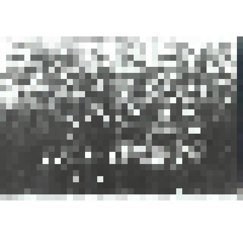 Фотокопия. Комсостав 364 СД после награждения. 1943 г