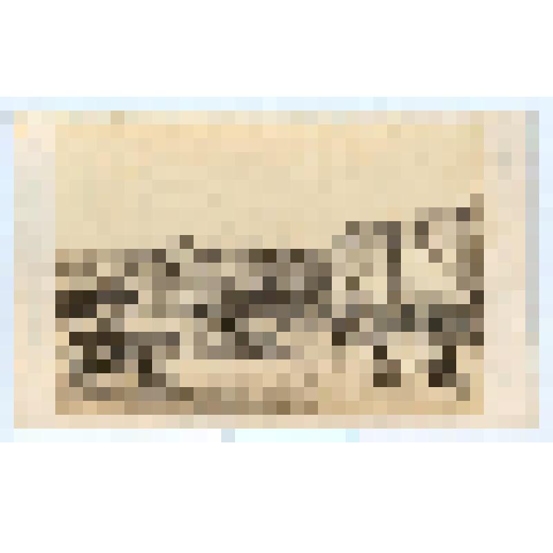 Фотография. Hôtel de ville Havre
Гостиница в городе Гавр