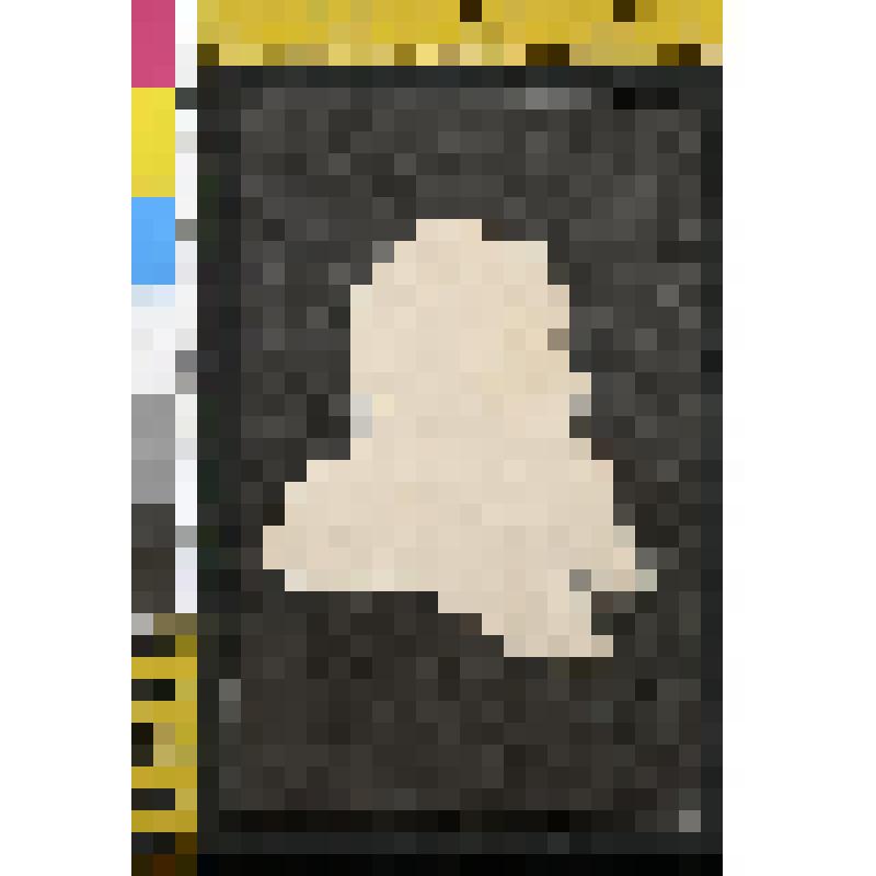 Открытка.Репродукция с рисунка Е.Бём. Силуэт Л.Н.Толстого