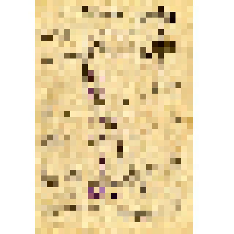 Ведомость оценки знаний и поведения ученика 6"б" класса Белокрестской школы п. Сазоново Чагодощенского района Вологодской области Бондарева Бориса