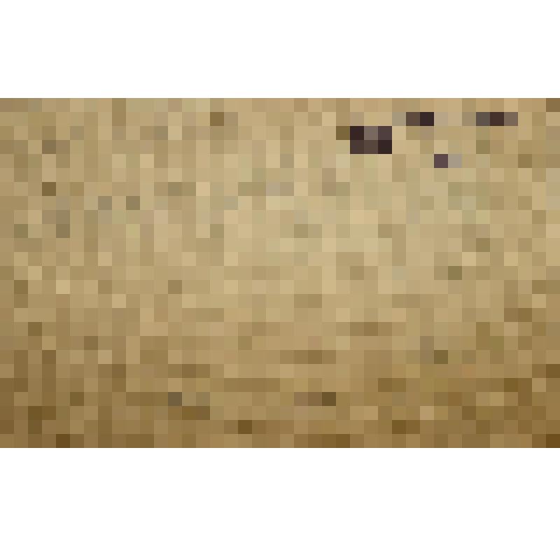 Картина. Шляпа