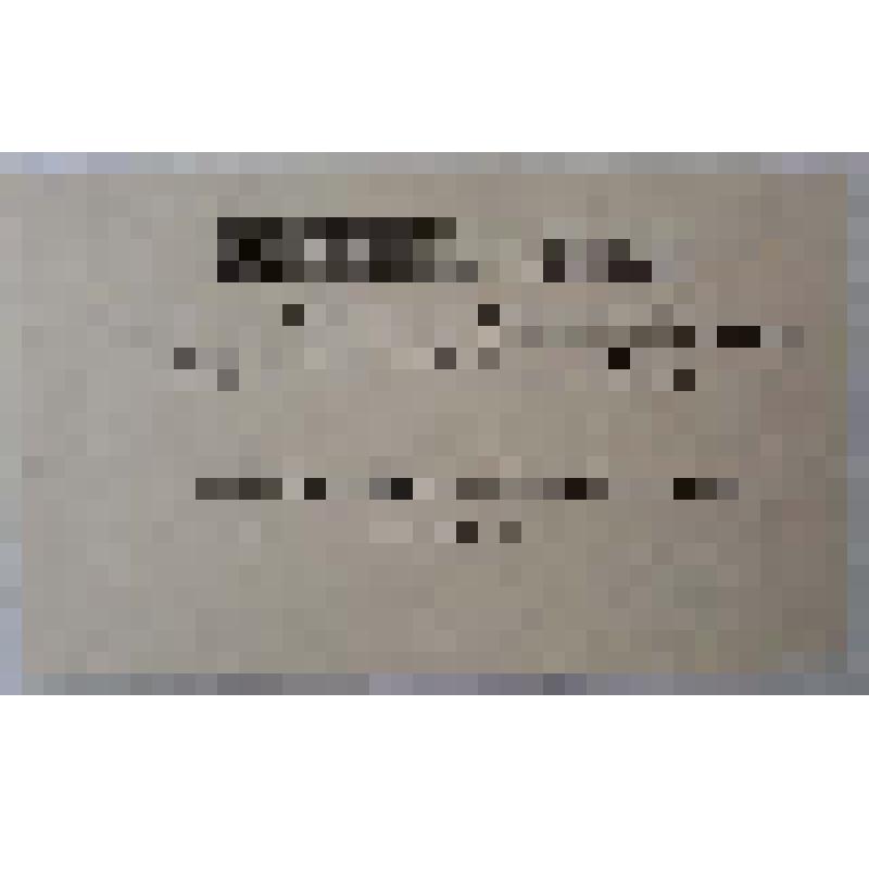 Листовка. Записка избирательная по выборам гласных в Шадринскую Городскую Думу на срок по 1 января 1919 г