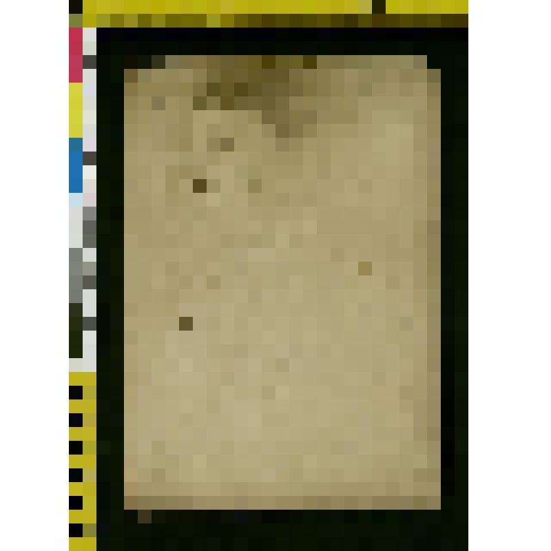 Фотография: Софья Андреевна Толстая