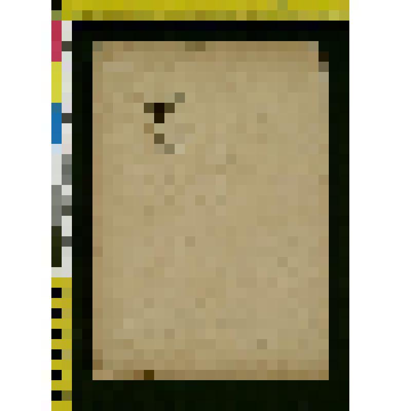 Фотография: Софья Андреевна Толстая