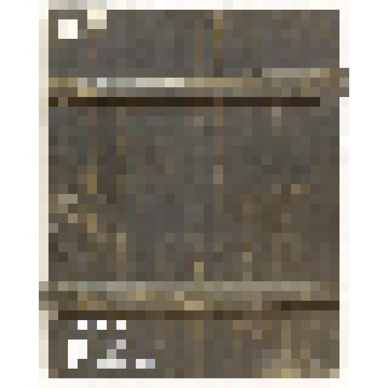 Борис и Глеб. Икона