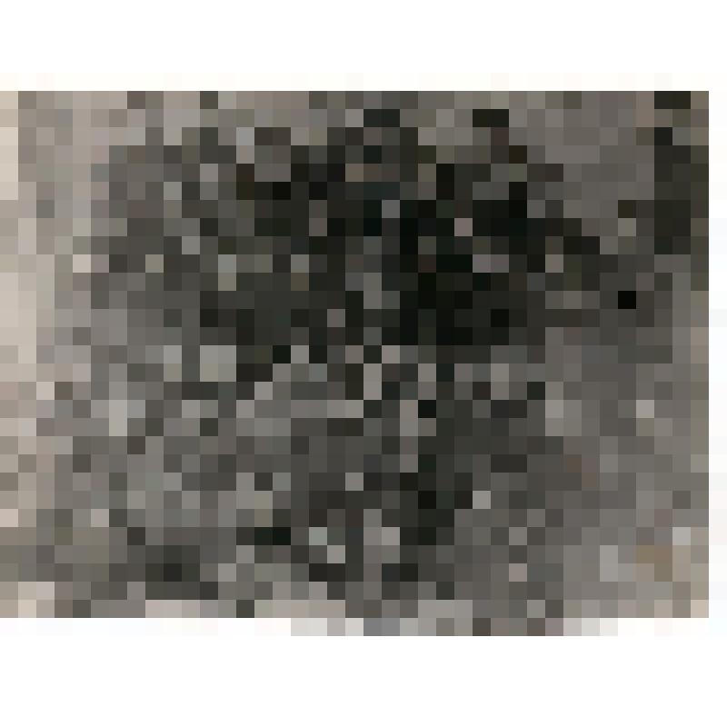 Фото (копия) 1922 г. Шишкин И.П. среди чекистов в городе-крепости Кронштадте