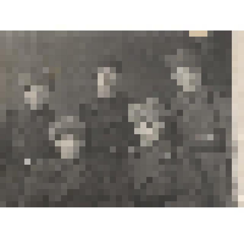 Фотография. Сидоров Вячеслав Никитович с сослуживцами